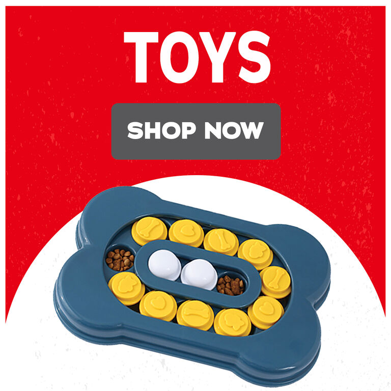 Shop Toys