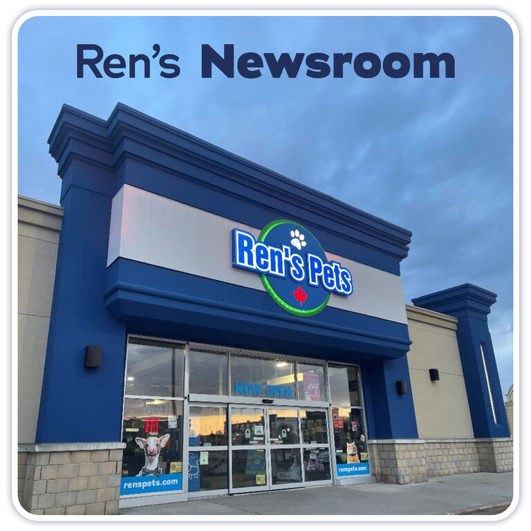 Ren's Newsroom