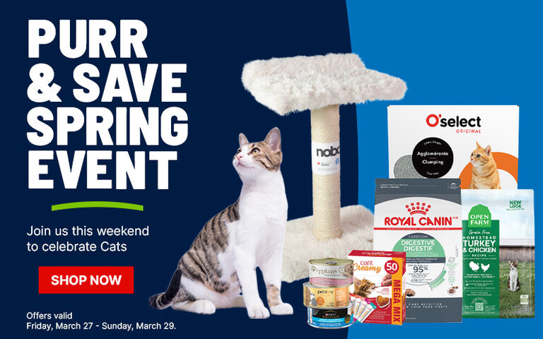 Image without a name