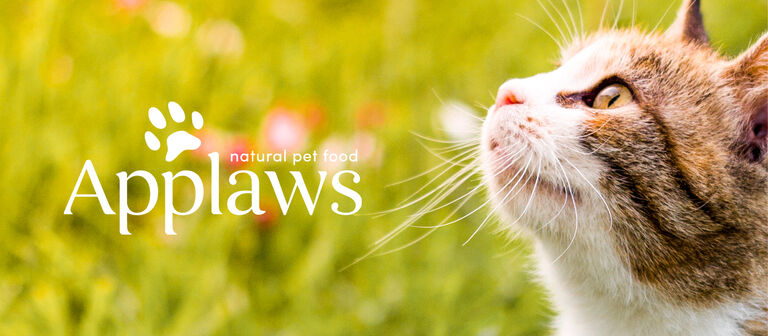Applaws