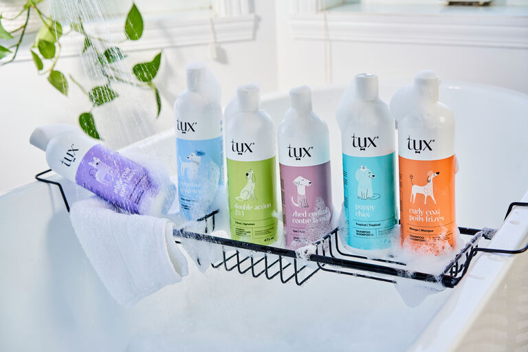 Bottles of Tux shampoo lined up in the bathtub