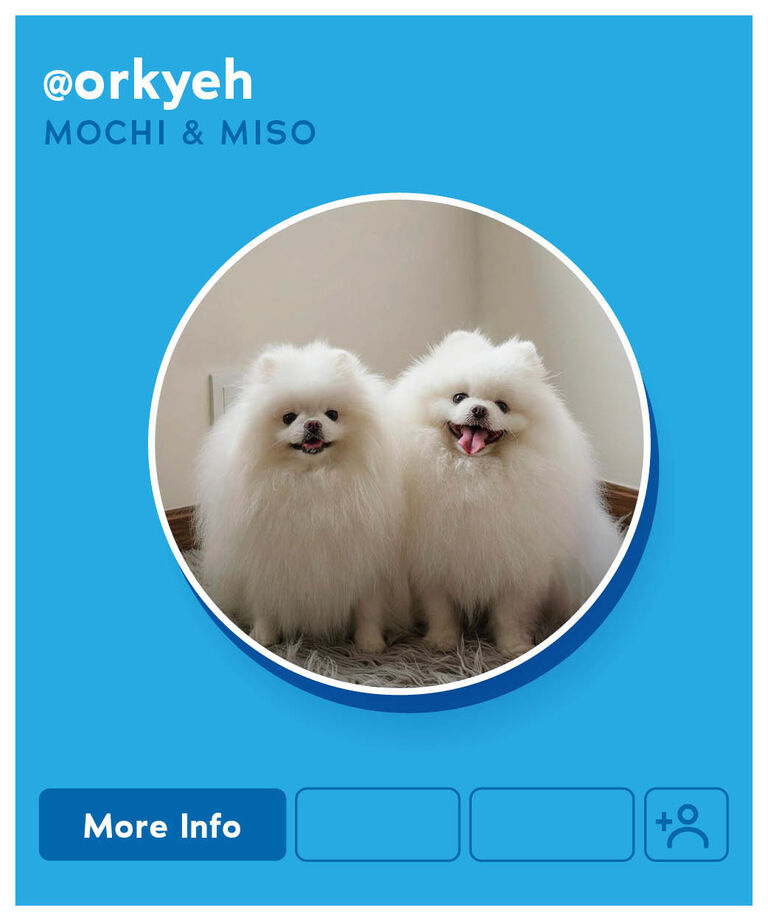 Mochi and Miso