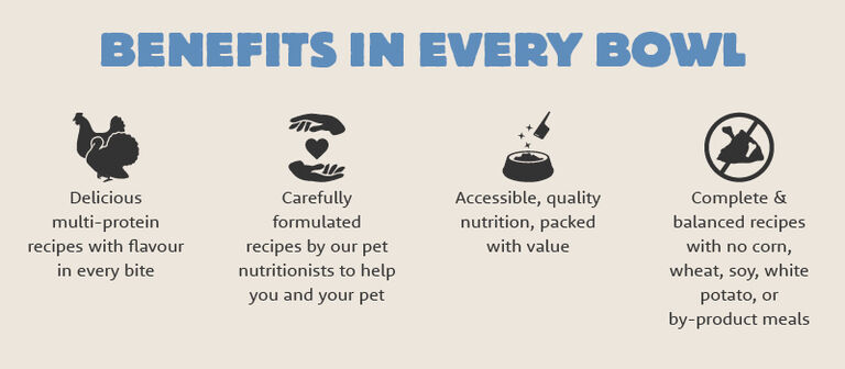Summit pet food benefits in every bowl — delicious multi-protein recipes with flavour in every bite, carefully formulated by pet nutritionists, accessible quality nutrition packed with value, and complete balanced recipes with no corn, wheat, soy, white potato, or by-product meals.