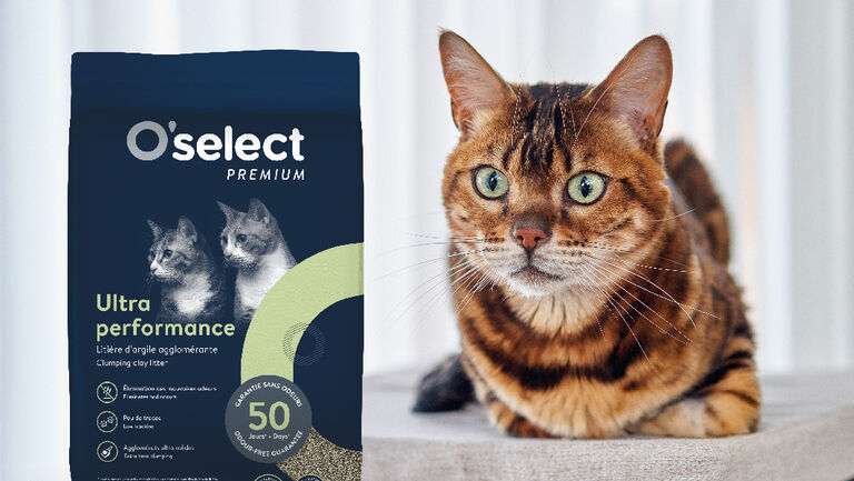 Image without a name