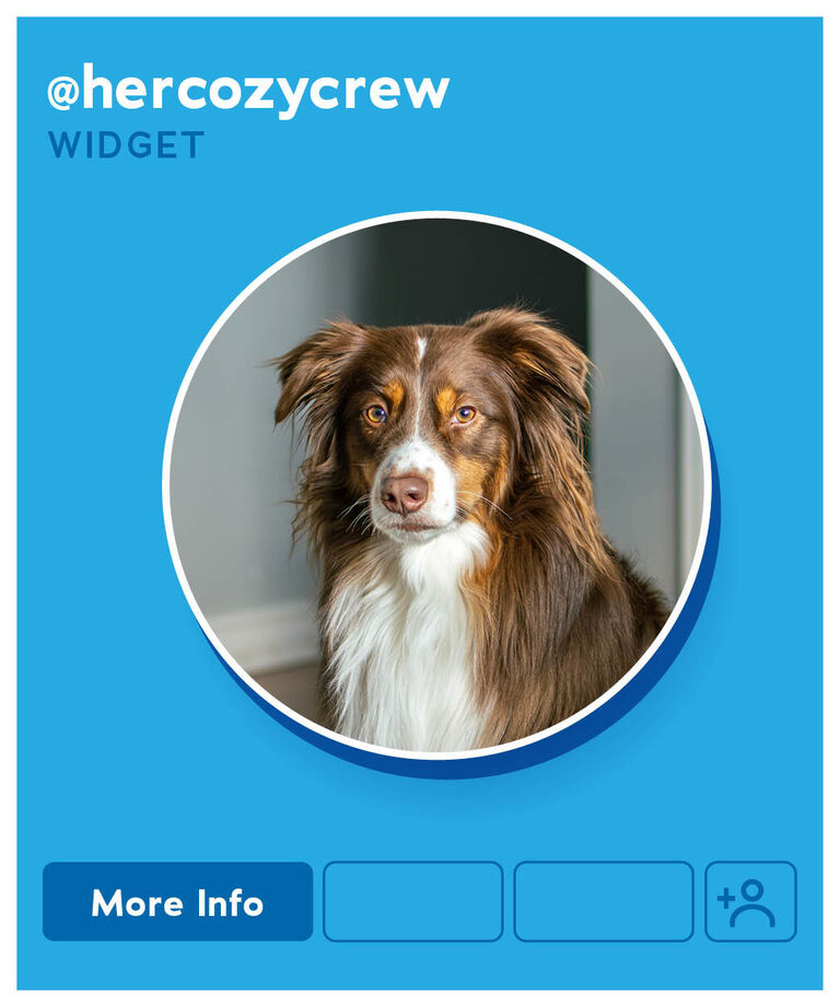 Widget