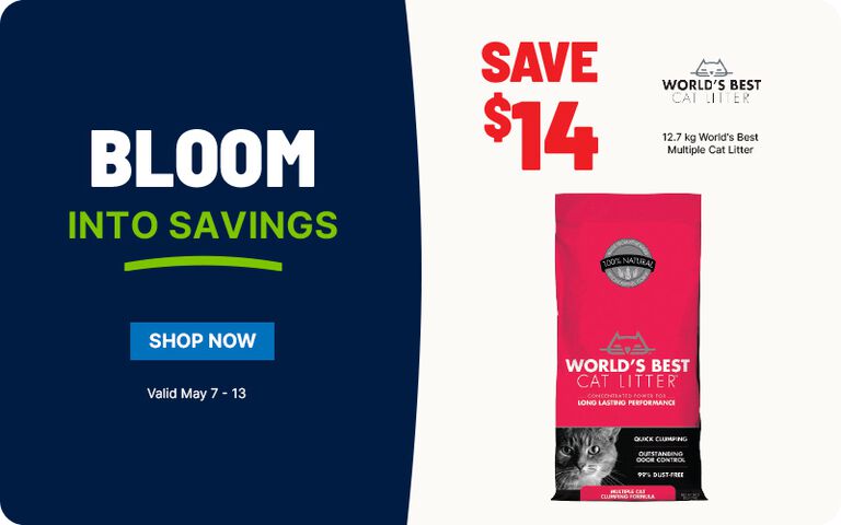 Promotional banner split into two sections. On the left, a dark navy-blue background displays large white text reading &ldquo;BLOOM,&rdquo; with bright green text below saying &ldquo;INTO SAVINGS&rdquo; and a curved green underline. Beneath, there is a blue rectangular button labeled &ldquo;SHOP NOW,&rdquo; followed by smaller white text that says &ldquo;Valid May 7 &ndash; 13."