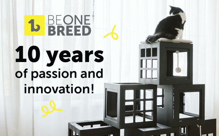 Beonebreed - 10 years of passion and innovation! Beonebreed - 10 years of passion and innovation!