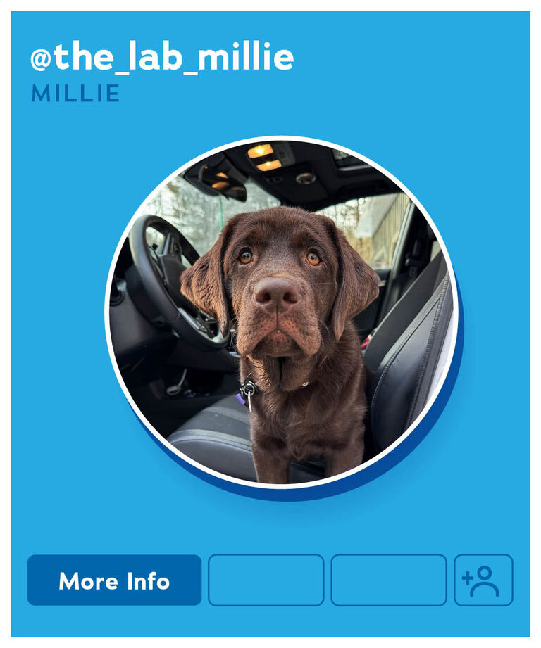 Millie