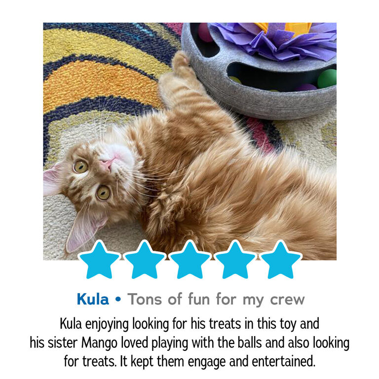 Kula - 5 stars - tons of fun for my crew. Kula enjoying looking for his treats in his toy and his sister Mango loved playing with the balls and also looking for treats. It kept them engaged and entertained