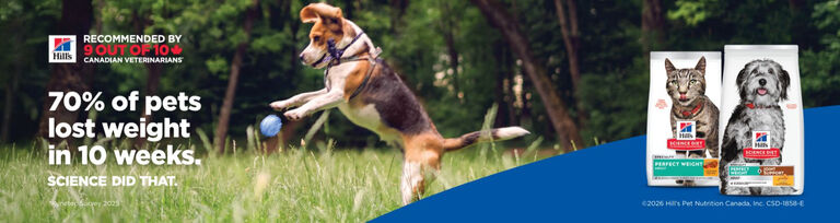 Image without a name