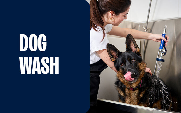 Dog Wash