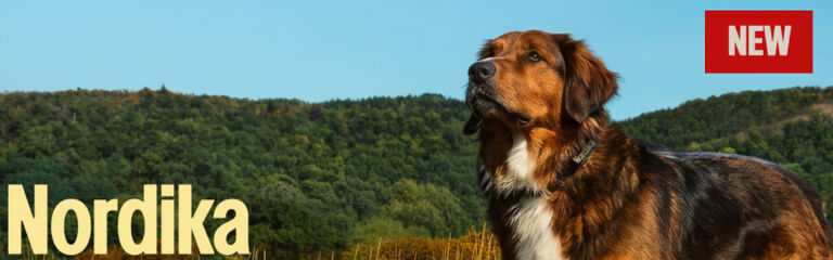New! Nordika