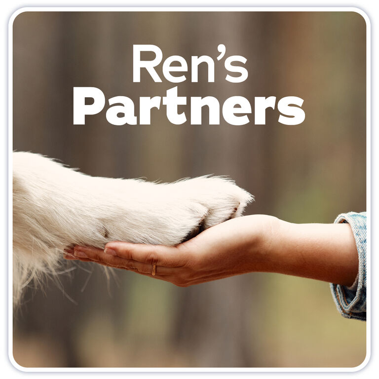 Ren's Partners