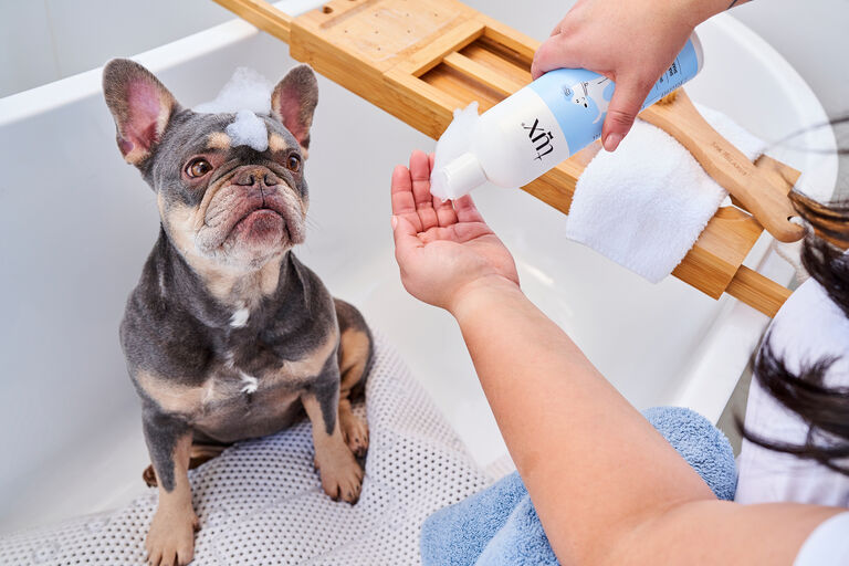 Dog getting washed with Tux shampoo