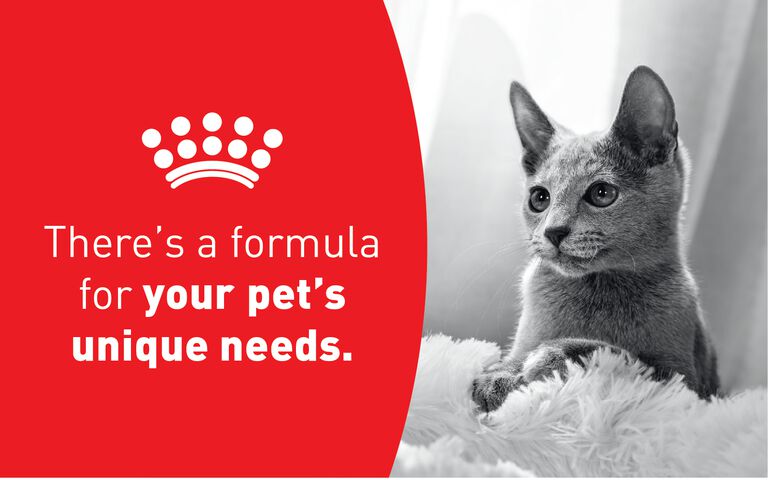 There’s a formula for your pet’s unique needs.