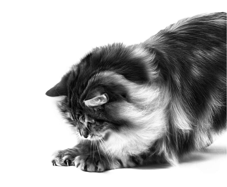 Image without a name