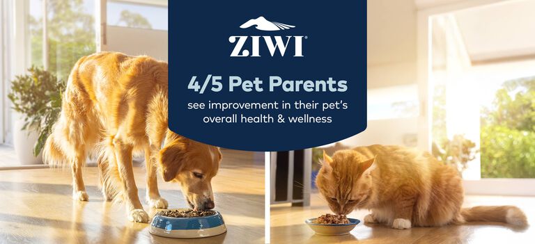 ZIWI - 4 out of 5 pet parents see improvement in their pet's overall health and wellness.