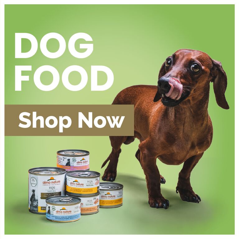 Dog Food