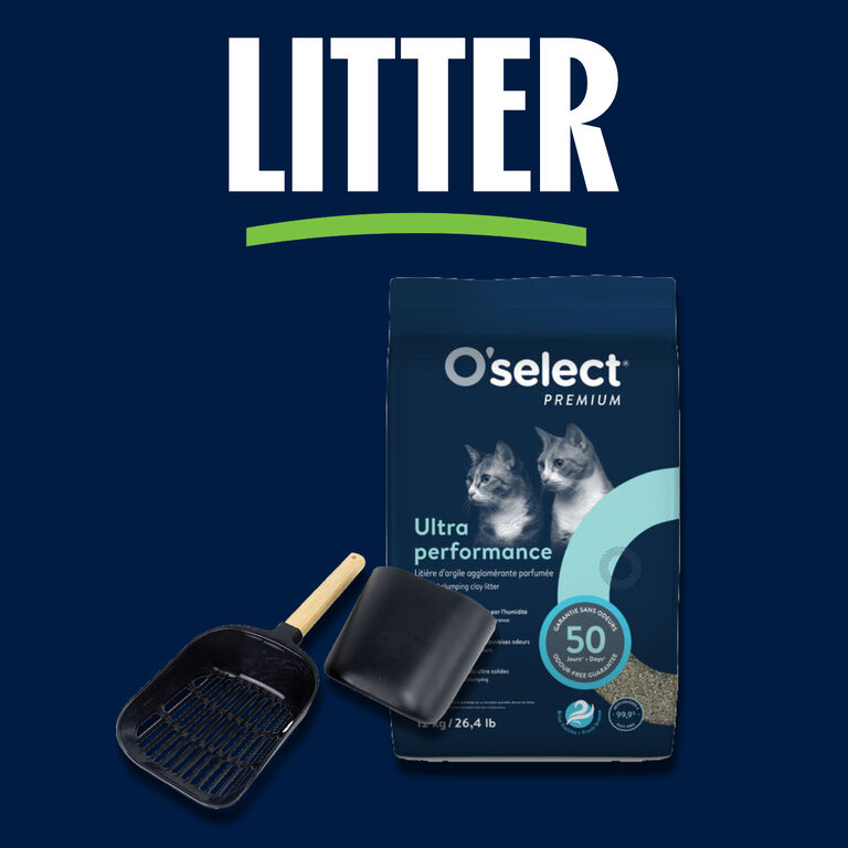 Image without a name