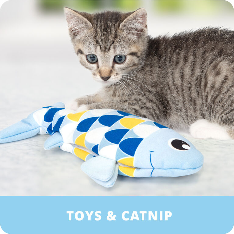 Image without a name