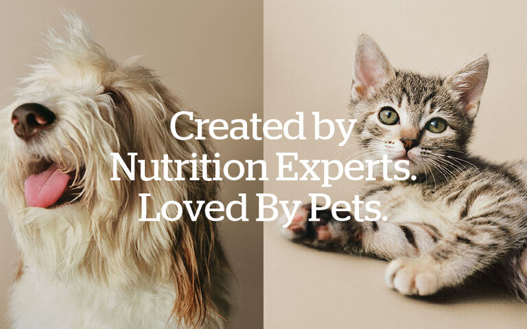 Created by Nutrition Experts. Loved By Pets.