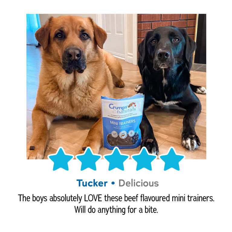 Tucker - 5 stars - delicious. The boys absolutely LOVE these beef flavoured mini trainers. Will do anything for a bite.