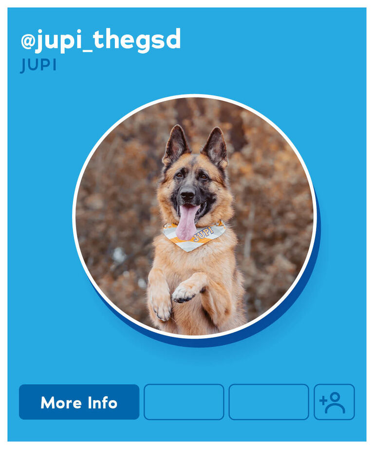 Jupi
