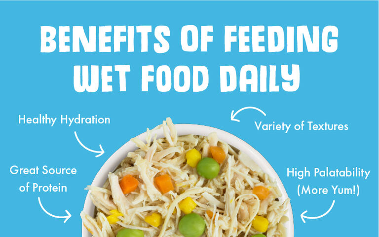 Benefits of feeding wet food daily — healthy hydration, great source of protein, variety of textures, and high palatability for more yum