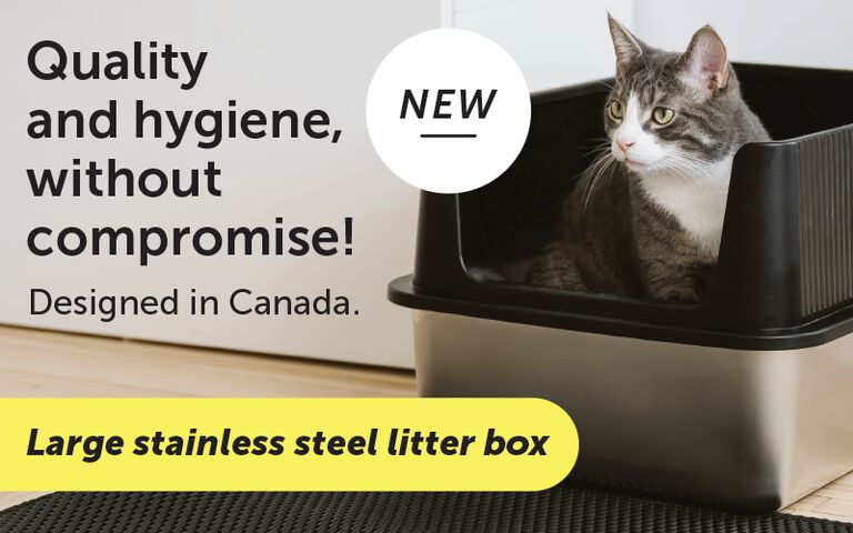 Beonebreed - 10 years of passion and innovation!