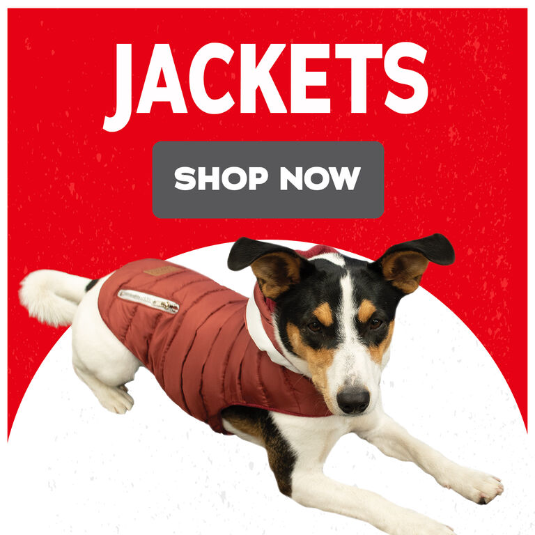 Shop Jackets