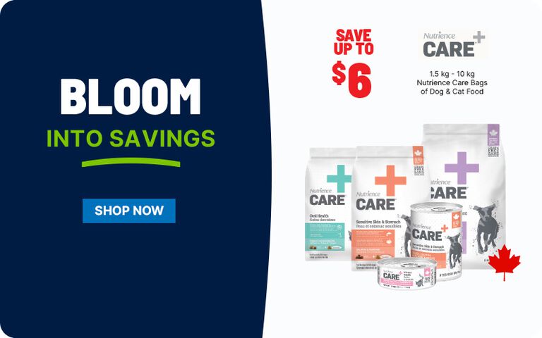 Promotional banner divided into two sections. On the left, a dark navy-blue background features large white text reading &ldquo;BLOOM,&rdquo; with bright green text below saying &ldquo;INTO SAVINGS,&rdquo; underlined with a curved green line. Beneath this, a blue rectangular button says &ldquo;SHOP NOW."