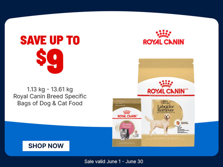 Ad showing Royal Canin pet food with bags on the right and text on the left reading &ldquo;Save up to $9&rdquo; on select dog and cat food, plus a &ldquo;Shop Now&rdquo; button and sale dates June 1&ndash;30.