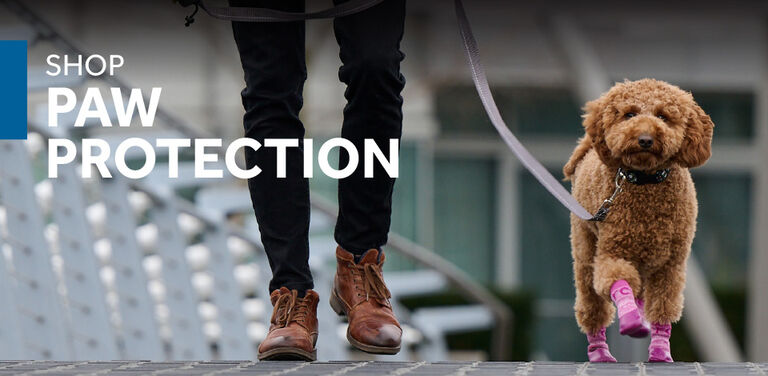 Shop Paw Protection