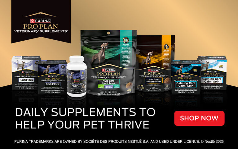 Daily supplements to help your pet thrive