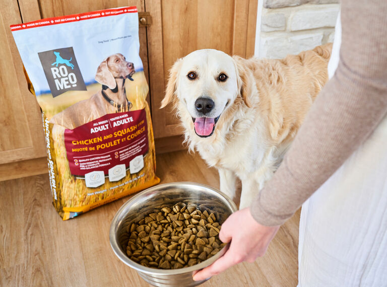 Dog being served Romeo dry food