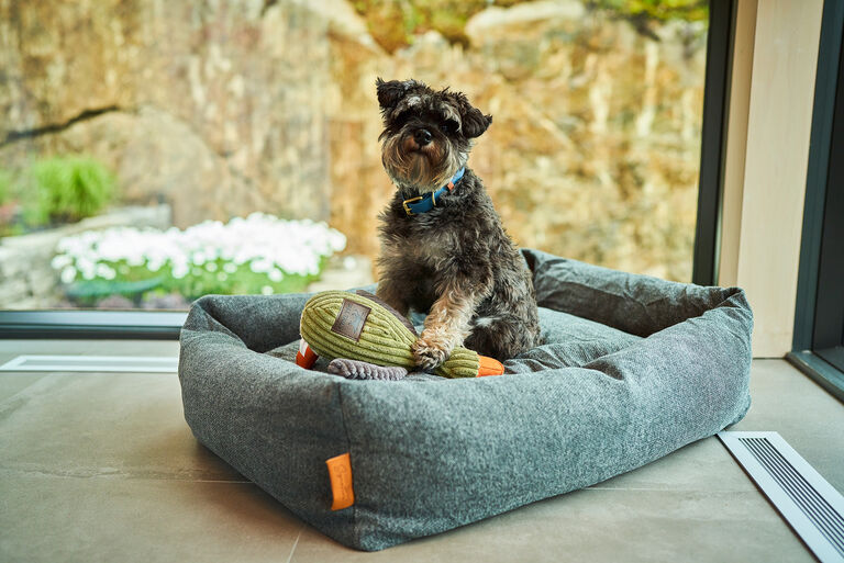 Image without a name