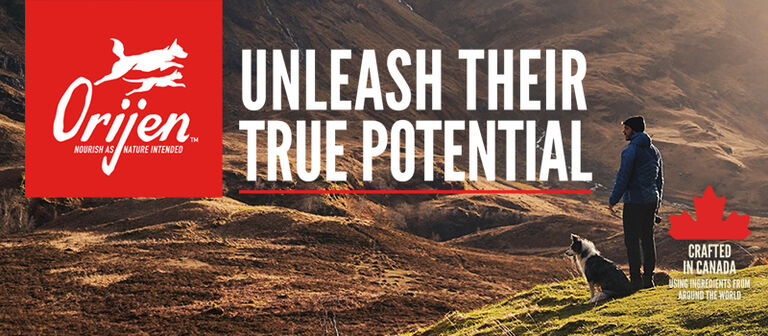 Unleash their true potential