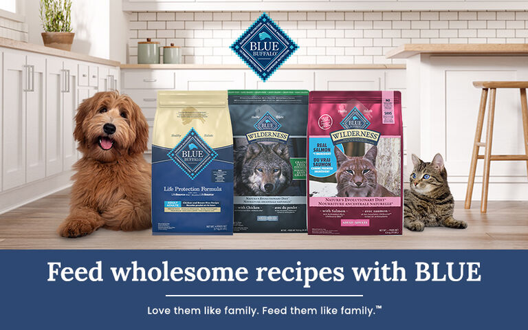 Feed wholesome recipes with BLUE. Love them like family. Feed them like family.