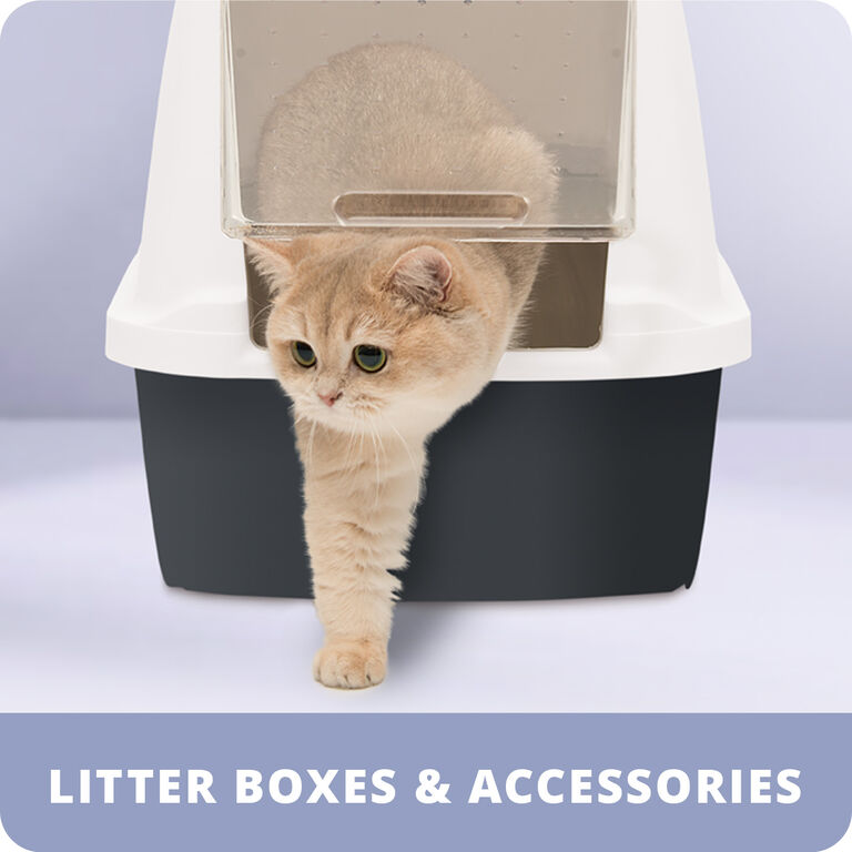 Image without a name