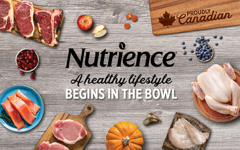 Nutrience - a healthy lifestyle begins in the bowl
