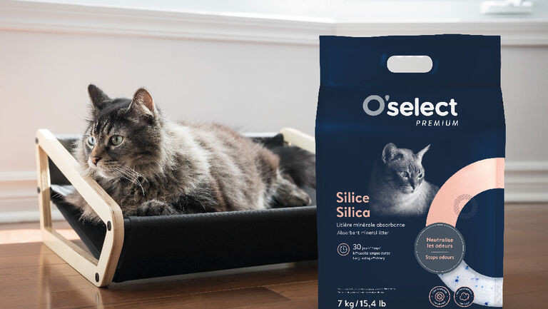 Image without a name