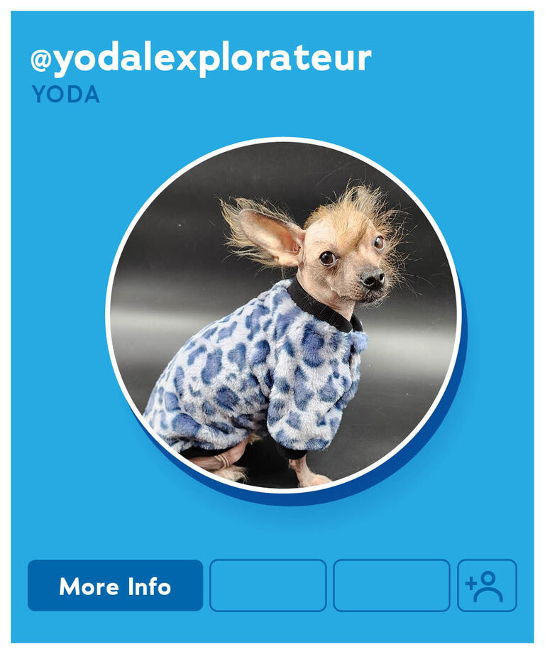 Yoda