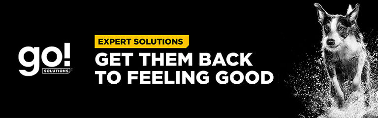 Go Solutions - Expert Solutions - get them back to feeling good