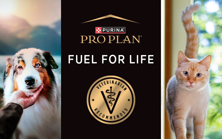 Purina Pro Plan - Fuel for life