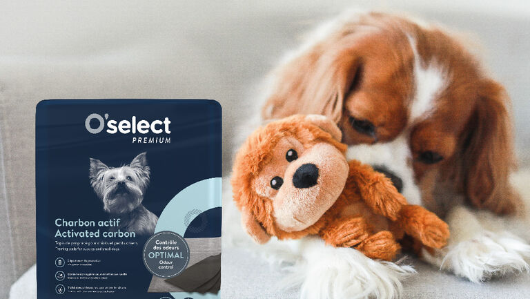 Image without a name