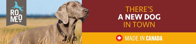 Romeo - There's a new dog in town. Made in Canada