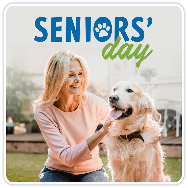 Seniors' Day