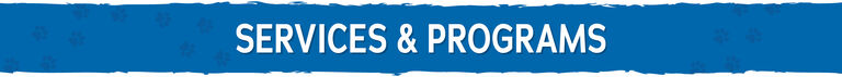 Services and programs