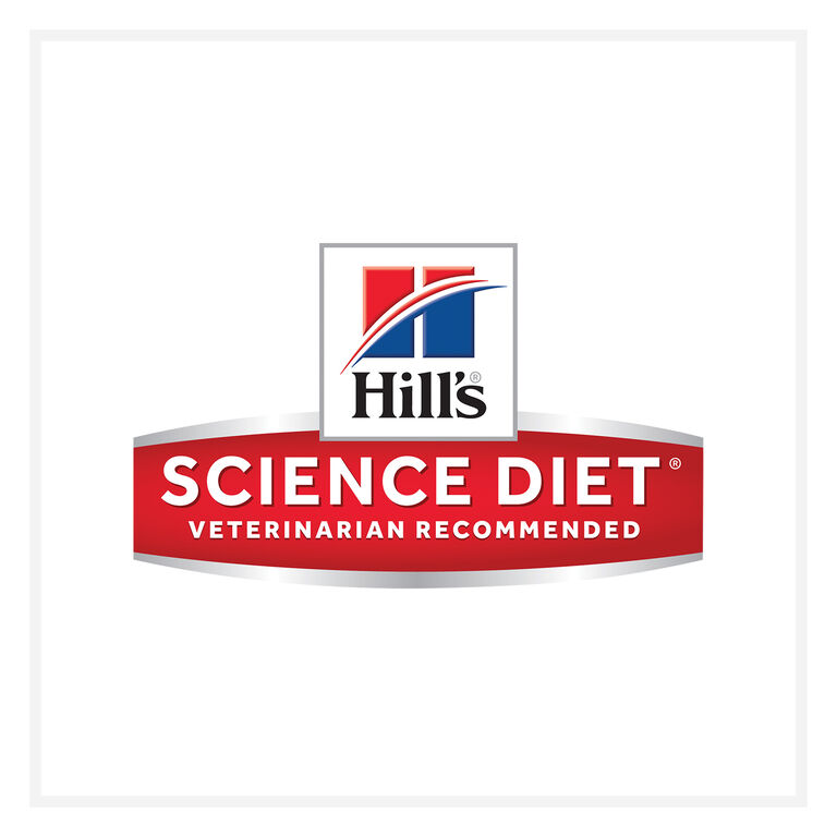 Science Diet Buy 12 get 1 free