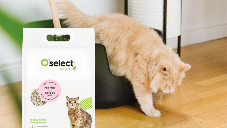 Image without a name